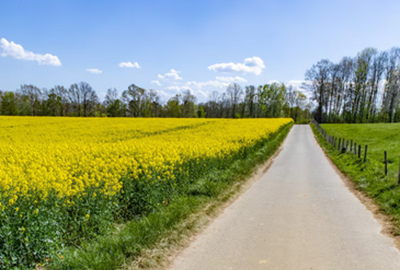 Invisiblity Vest In Use